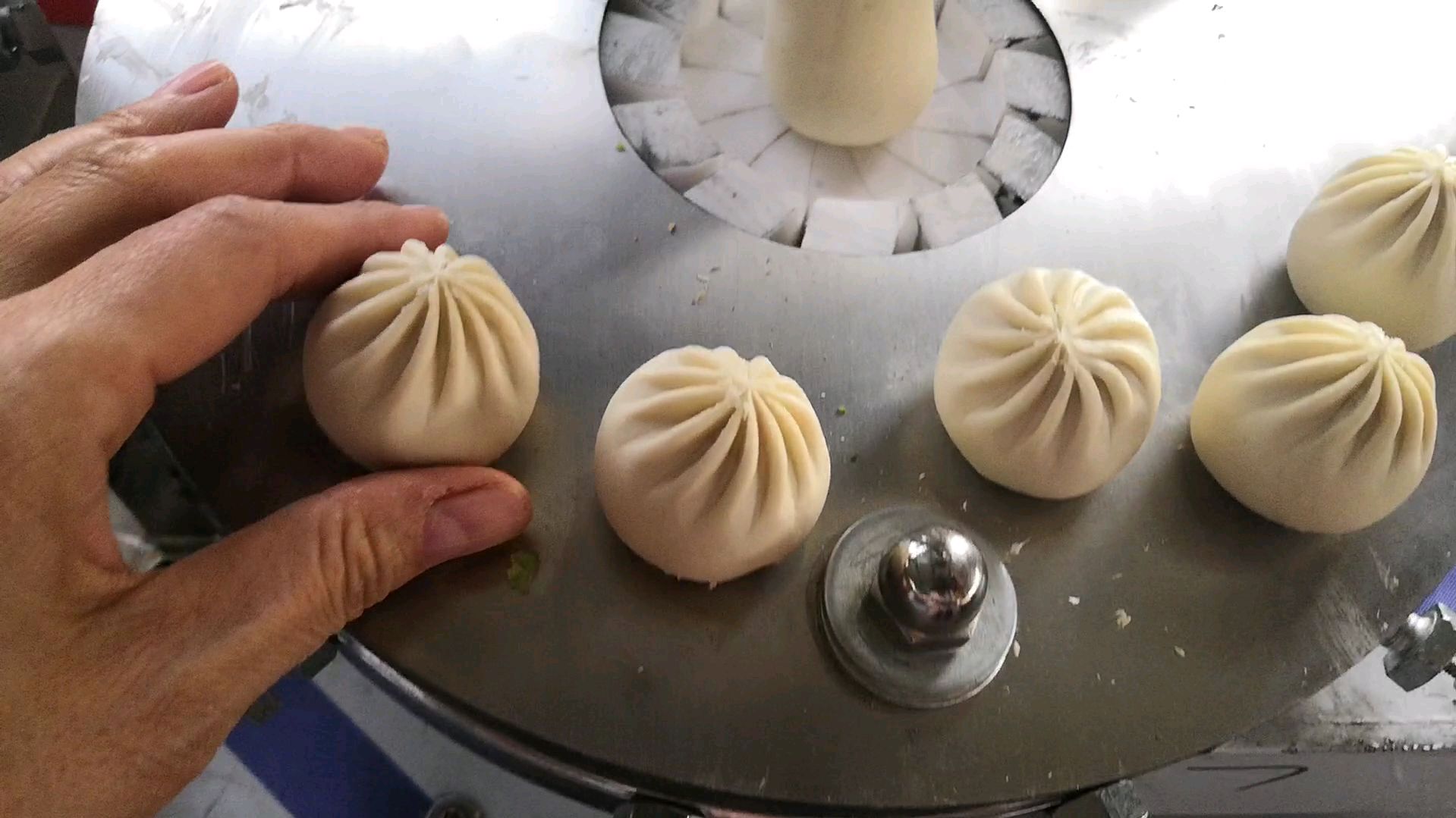 小笼包子机 大小可调全自动包子机 水煎包 小笼调整过程视频