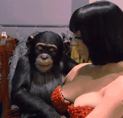 搞笑gif图笑话由漫画八妹编辑2: 一只猴子比人都大胆!