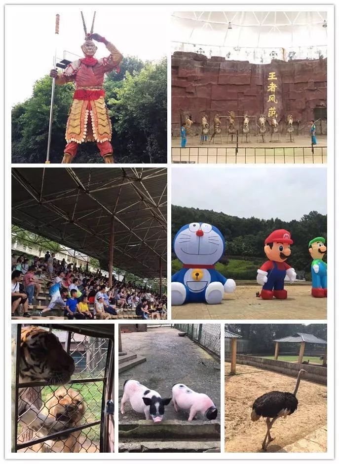 種子旅行第104站:《九峰山森林野生動物園》