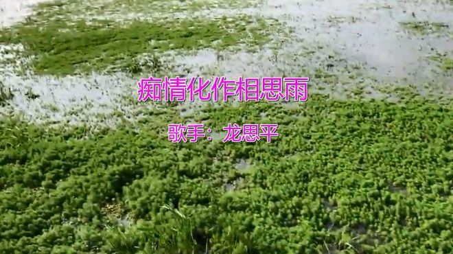 [图]一首《痴情化作相思雨》，熟悉的旋律，听哭了多少痴情人