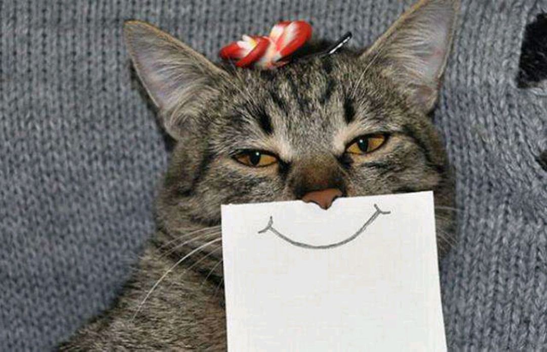 笑点高:不可能完成的任务