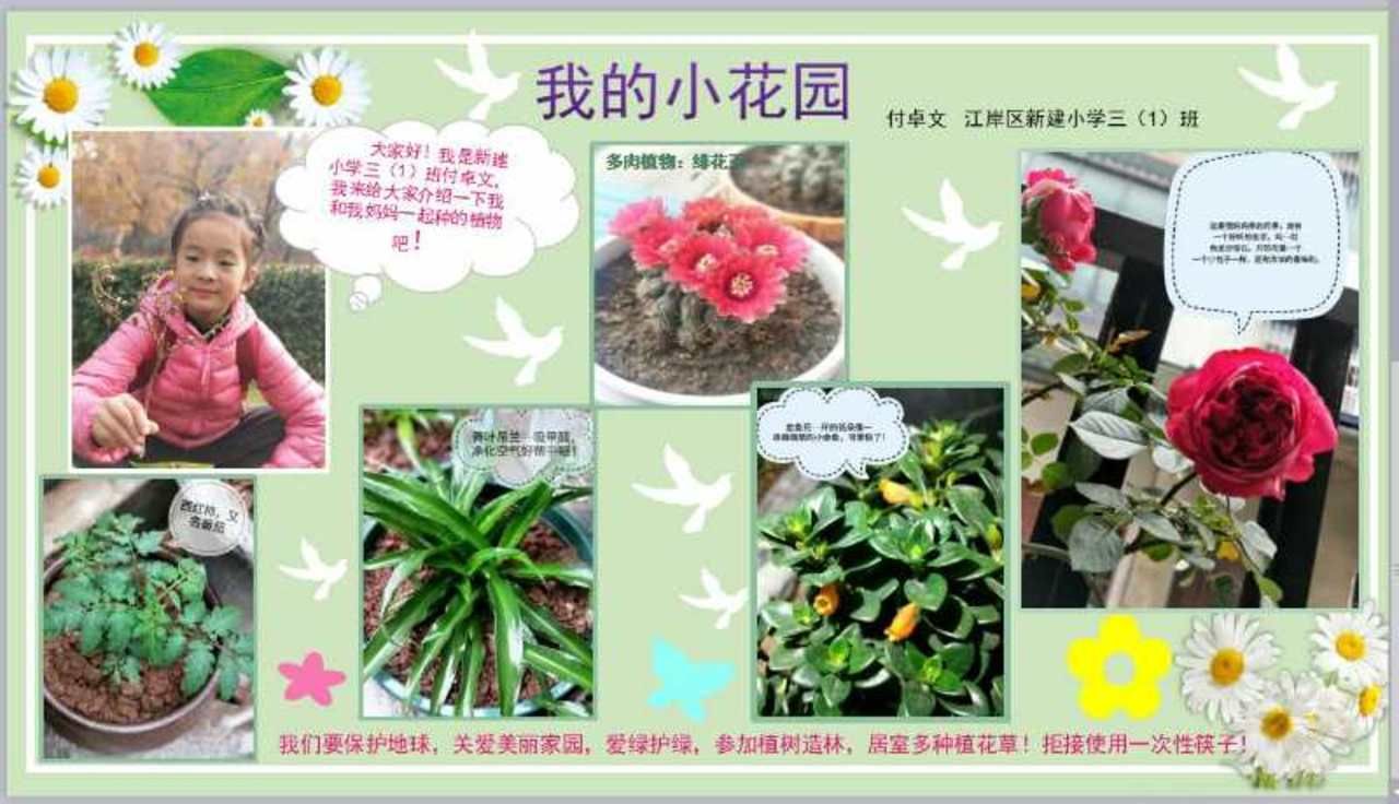 世界地球日,武汉市江岸区新建小学,开展绿色生态教育活动