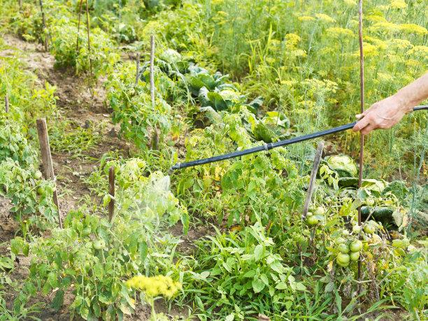 除草剂喷洒 - 2020年最新商品信息聚合专区 - 百度爱采购