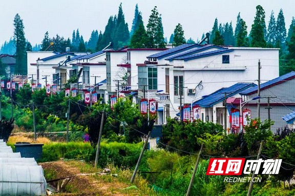 农业兴农村美 南县南洲镇奋力打造宜居宜游美好家园
