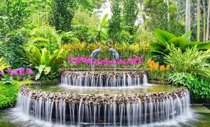 国家胡姬花园是新加坡植物园中的精品园,占地约四公顷,目前培育了超过