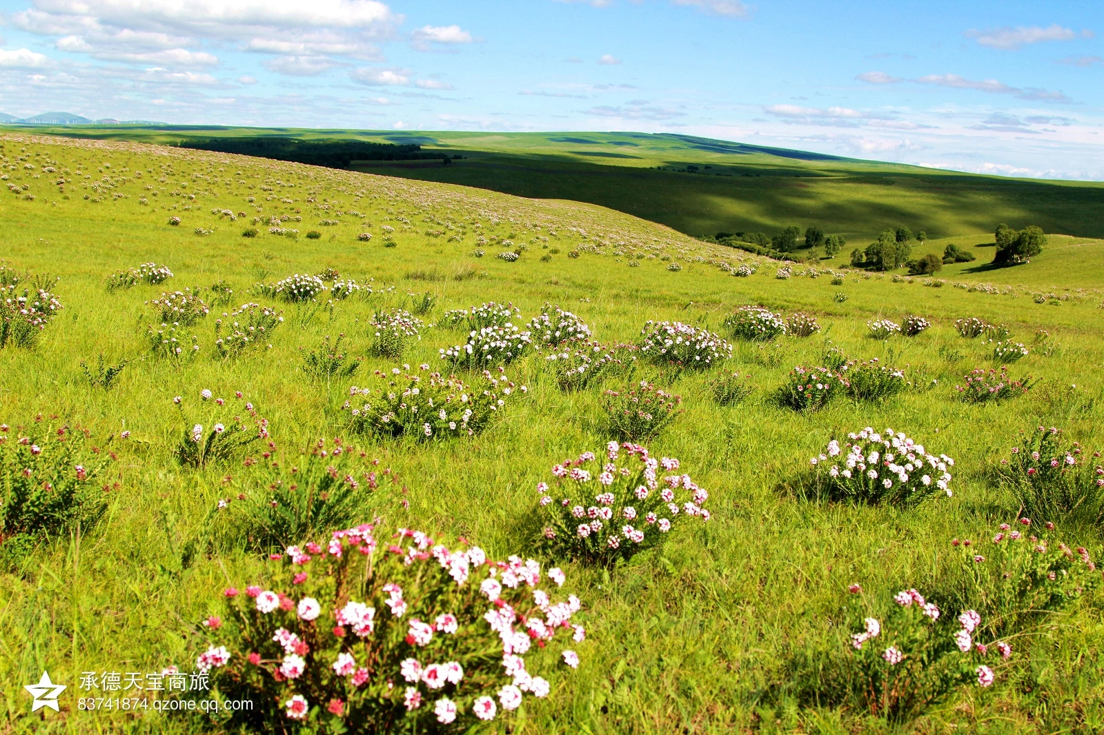 美丽大草原贡格尔草原,自驾游