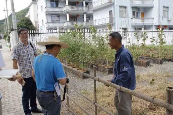 用心种出九华的特色产品"观音豆腐"种植人傅梅祥走访记录