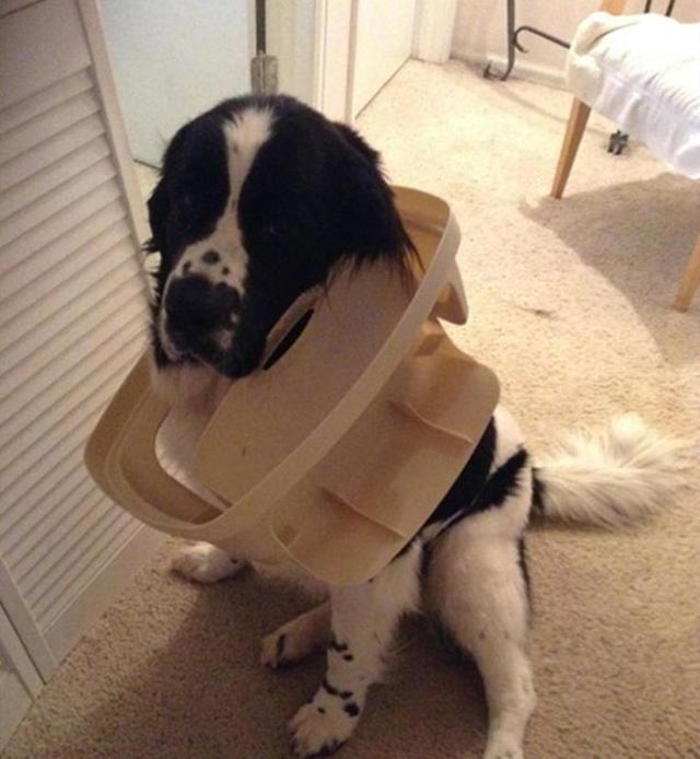 每当单身狗喝醉了,一定逃不了用这个姿势睡觉!