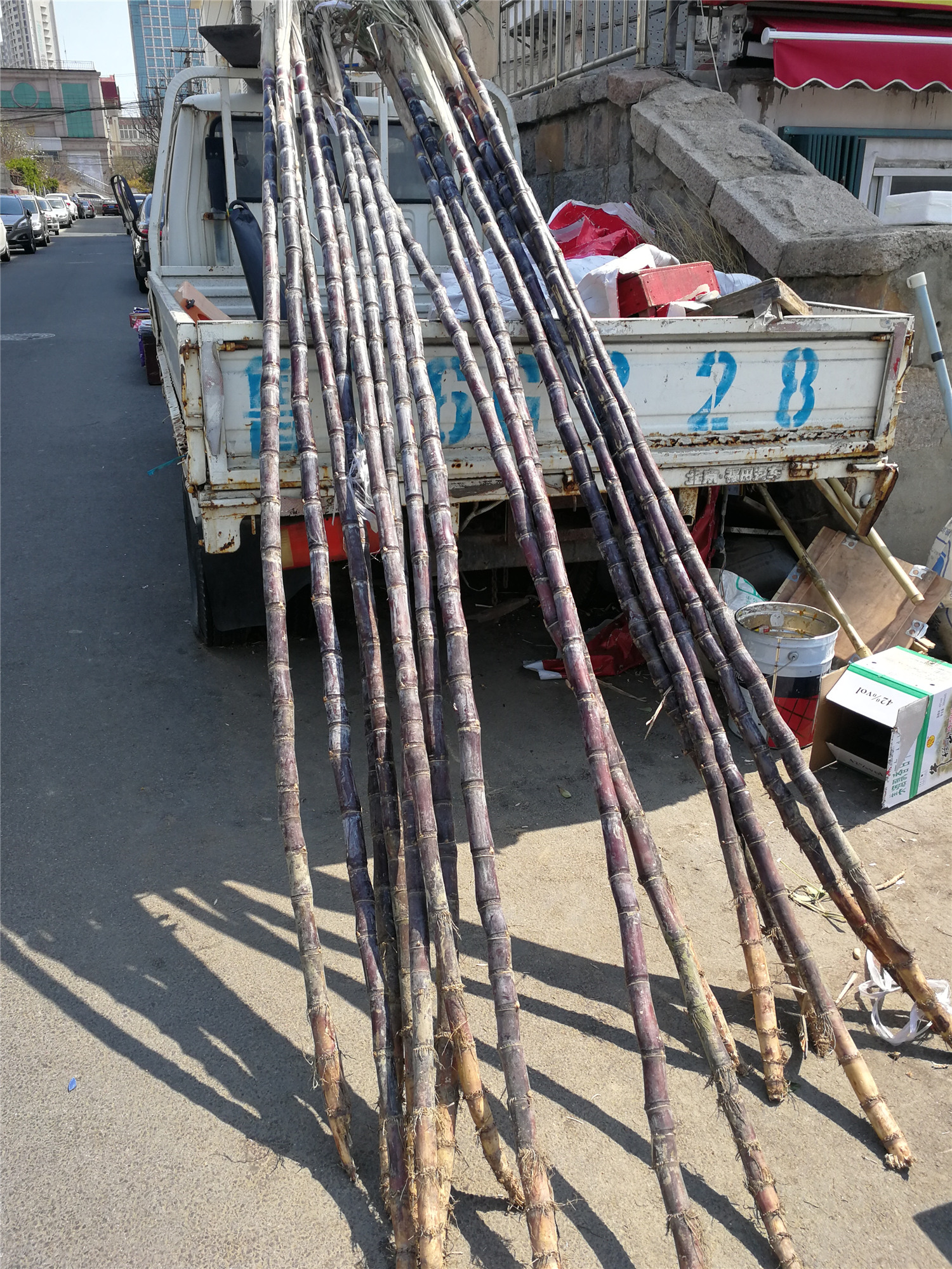 清明蔗,毒过蛇?营养专家:说法并不绝对,仔细辨别是否发霉即可