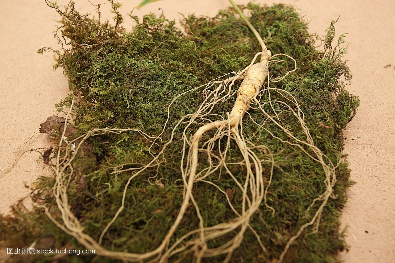 中药材:人参,今天我们就了解一下人参的前世今生