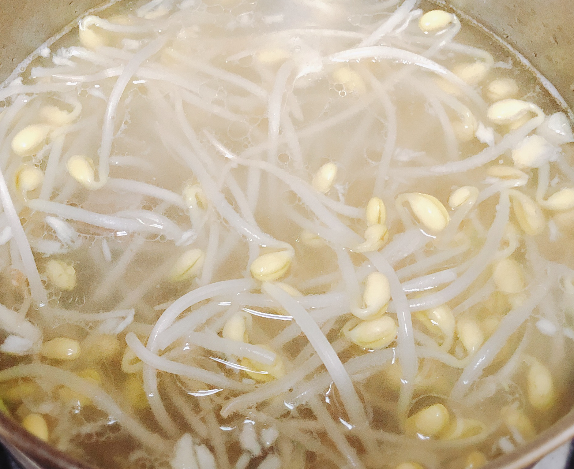 新手快手菜鲜美黄豆芽汤