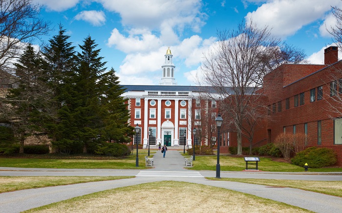 很多优秀学生一旦考入国际名校,大多都不会回来,这是为什么?