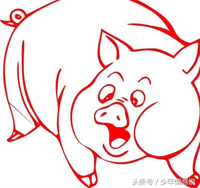十二生肖之95年属猪的人