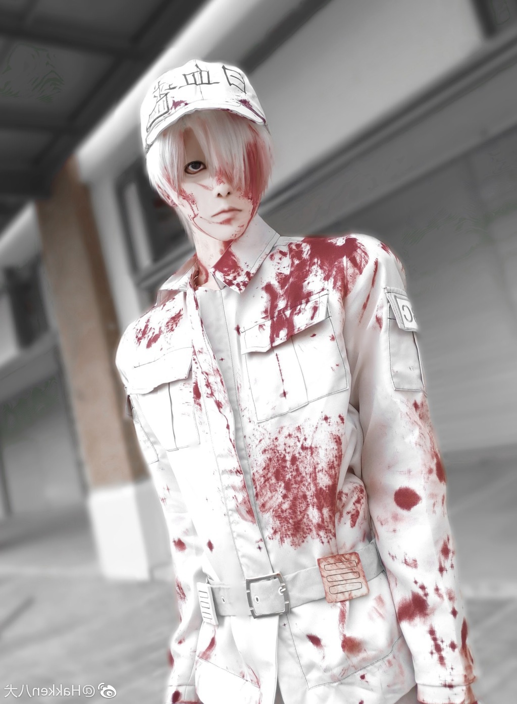 同样是cos白血球,熊祁,八犬,無疏你会选谁呢?