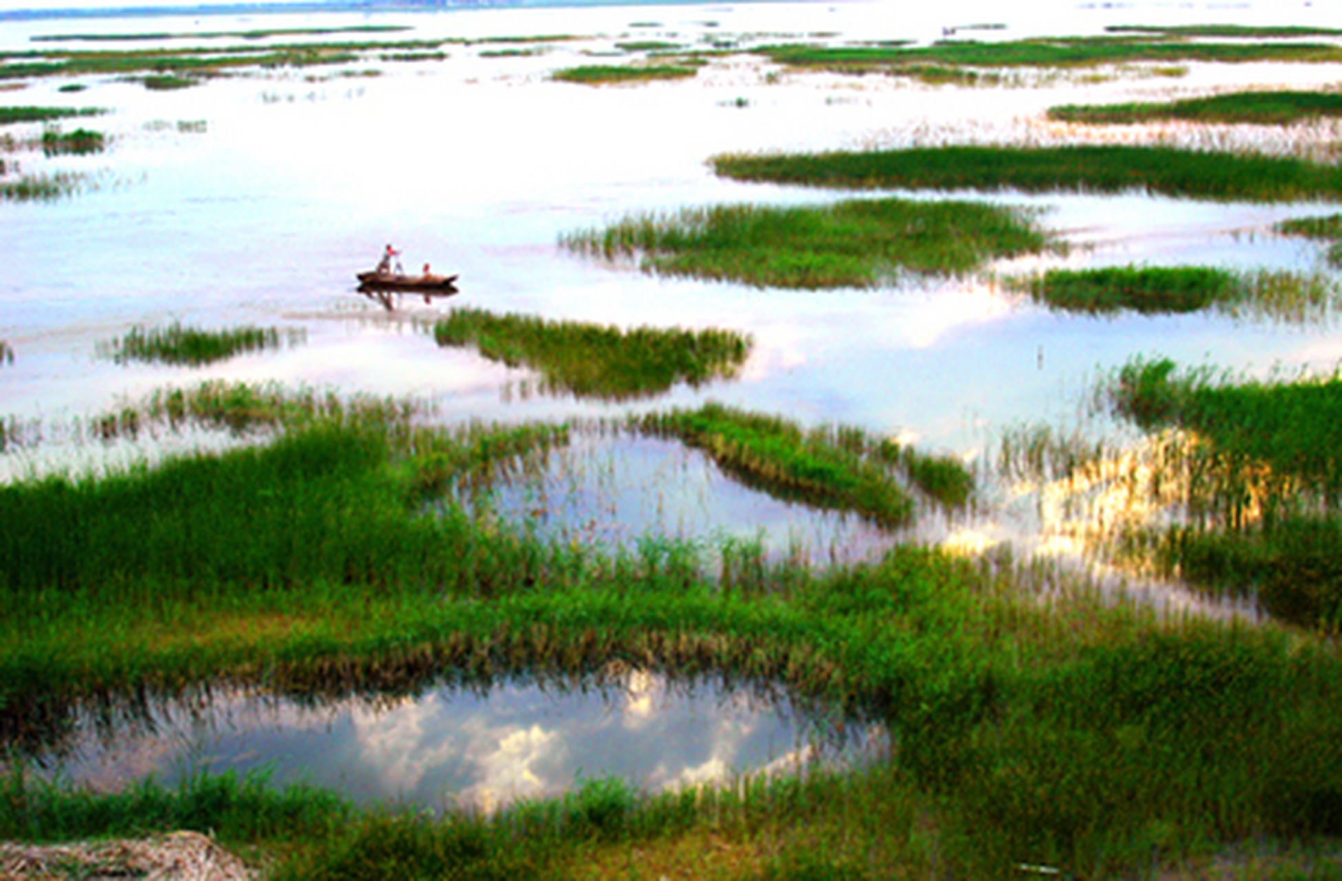 白洋淀千里堤位于河北省沧州市西北的任丘市,距任丘市区最近处10公里.