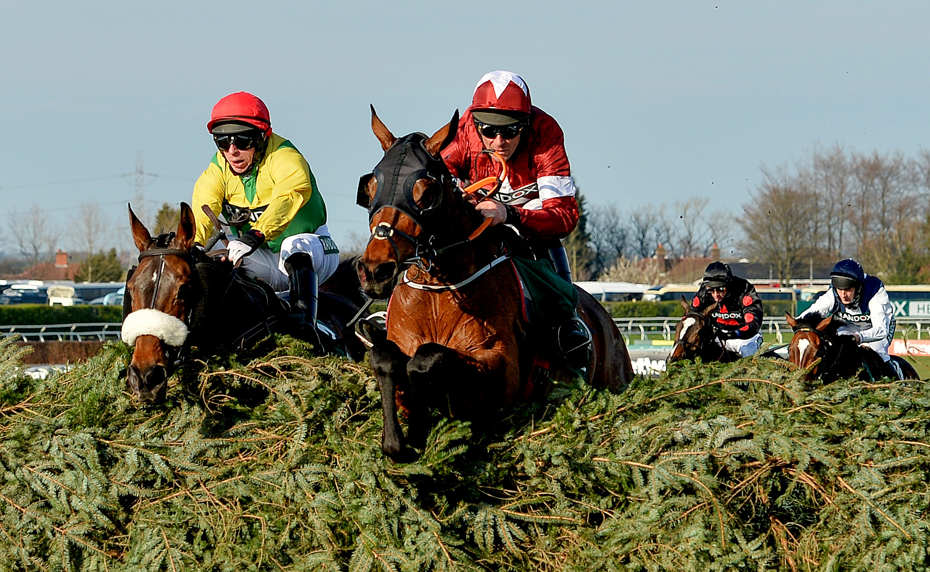 英国国家障碍赛马大赛落幕(2)