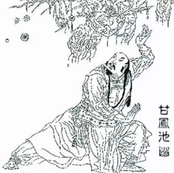 单田芳的《童林传》里这位大侠历史上确有其人,评书中结局有点惨