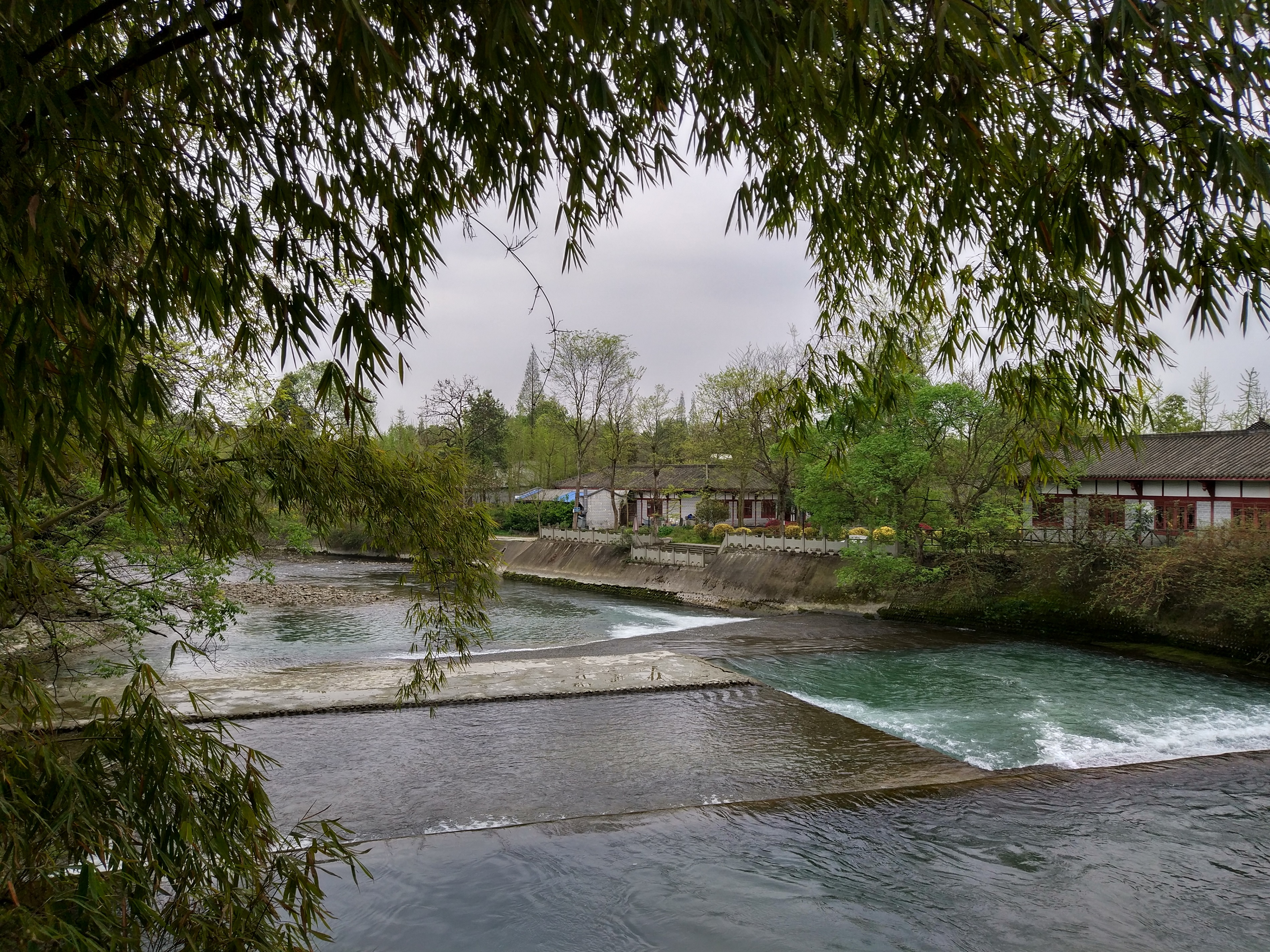 骑游巴蜀之温江江安河绿道