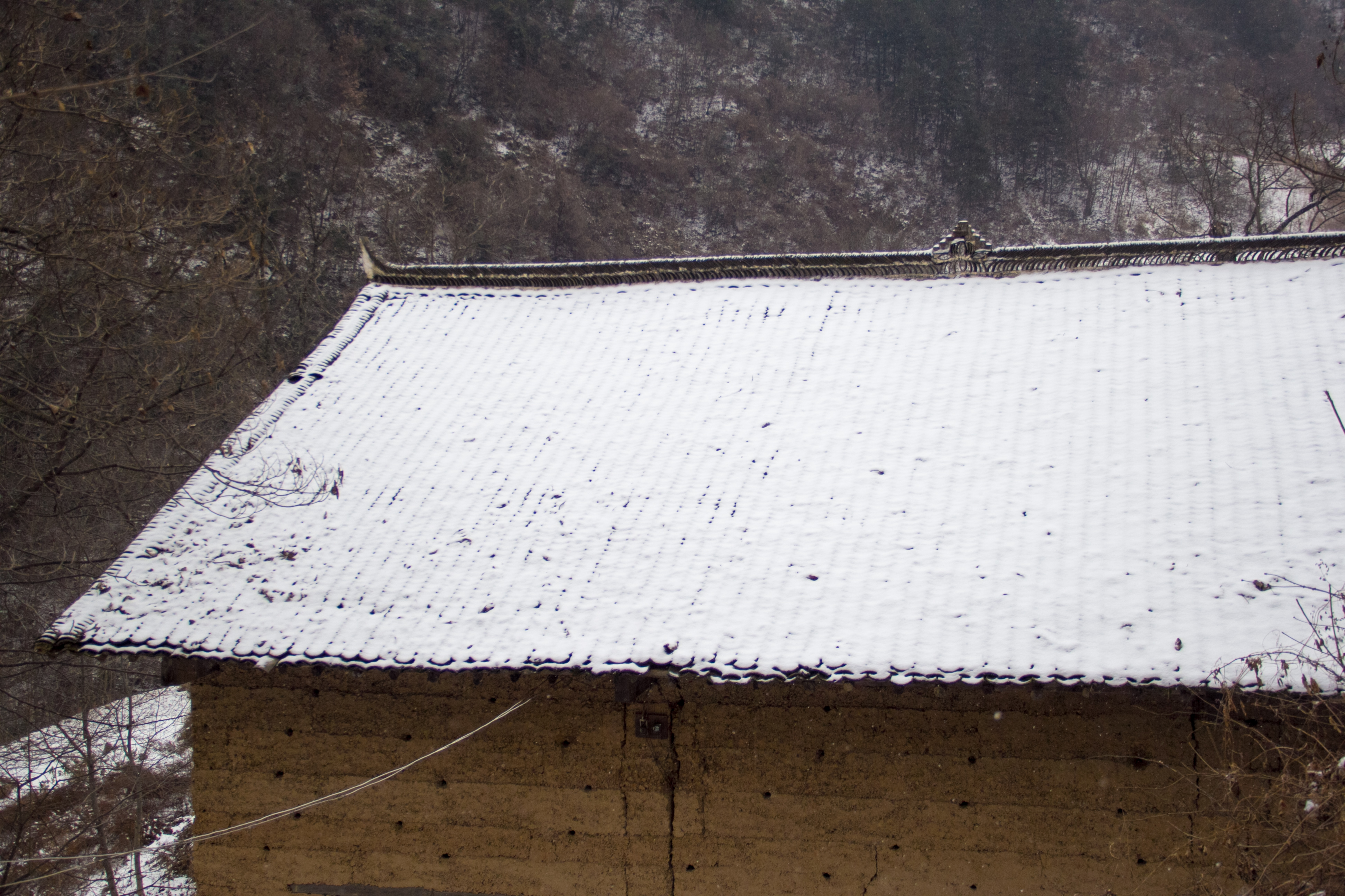 这是一个瓦房的顶,普普通通,简简单单