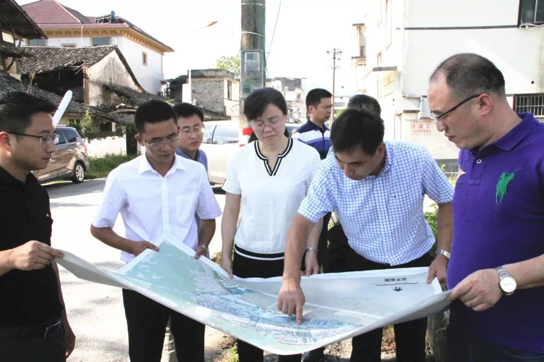 宜春市委副书记饶利萍调研宜丰天宝古城项目建设