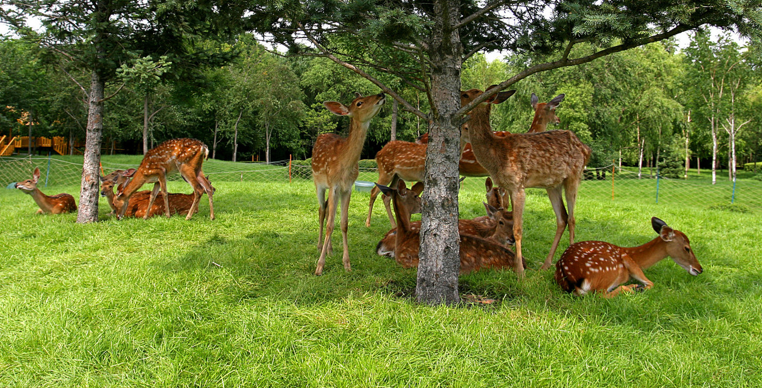 秋日环游指南# 辽宁旅游不可错过的2个景点有:  沈阳森林动物园 .