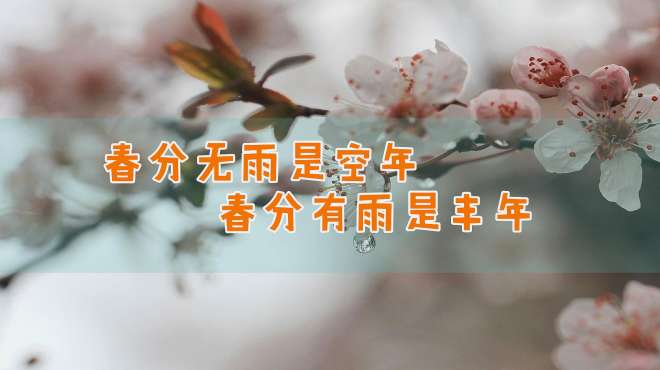 [图]俗语“春分无雨是空年，春分有雨是丰年”，2020年的收成咋样？