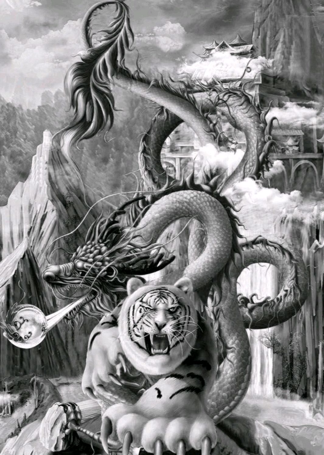 网赌龙虎斗之数据赔率下填坑