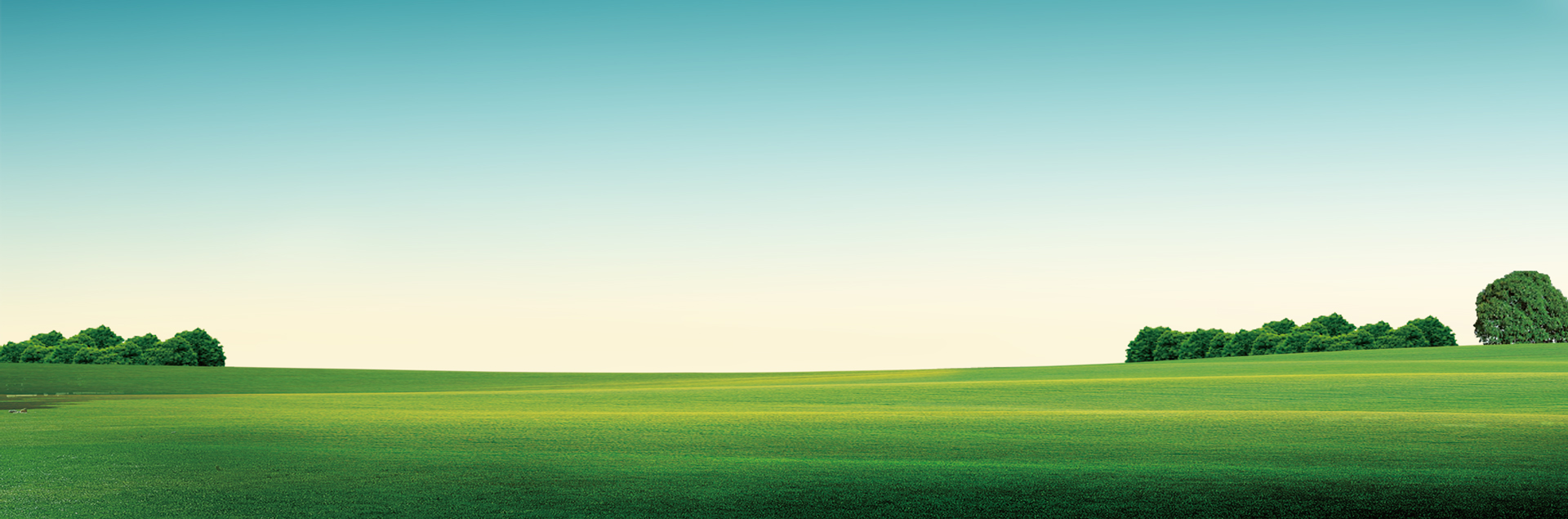 等你以后长大了就明白了