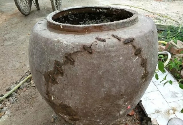 老家的水缸都装满了故事