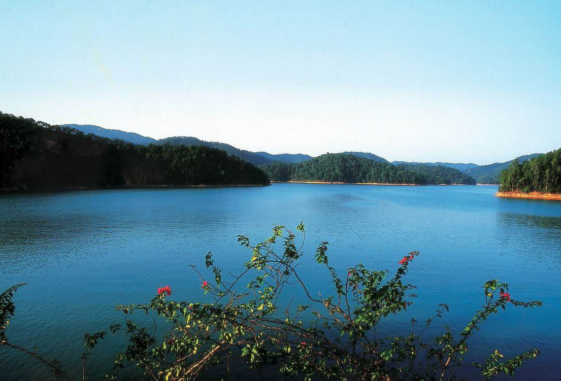 广州有景区名曰九龙湖,我去过一次,感觉适合家庭度假