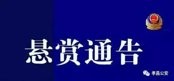 悬赏通缉6名孝昌籍涉黑涉恶在逃人员