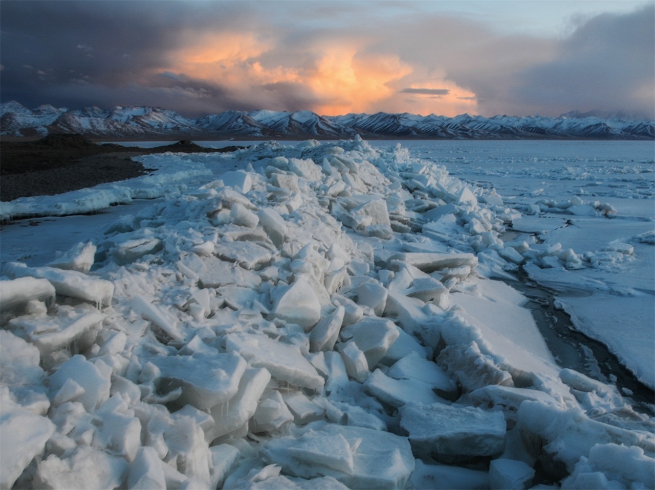 千里冰封万里雪飘的纳木错开始沉睡,曾经生活在湖边的各种动物也开始