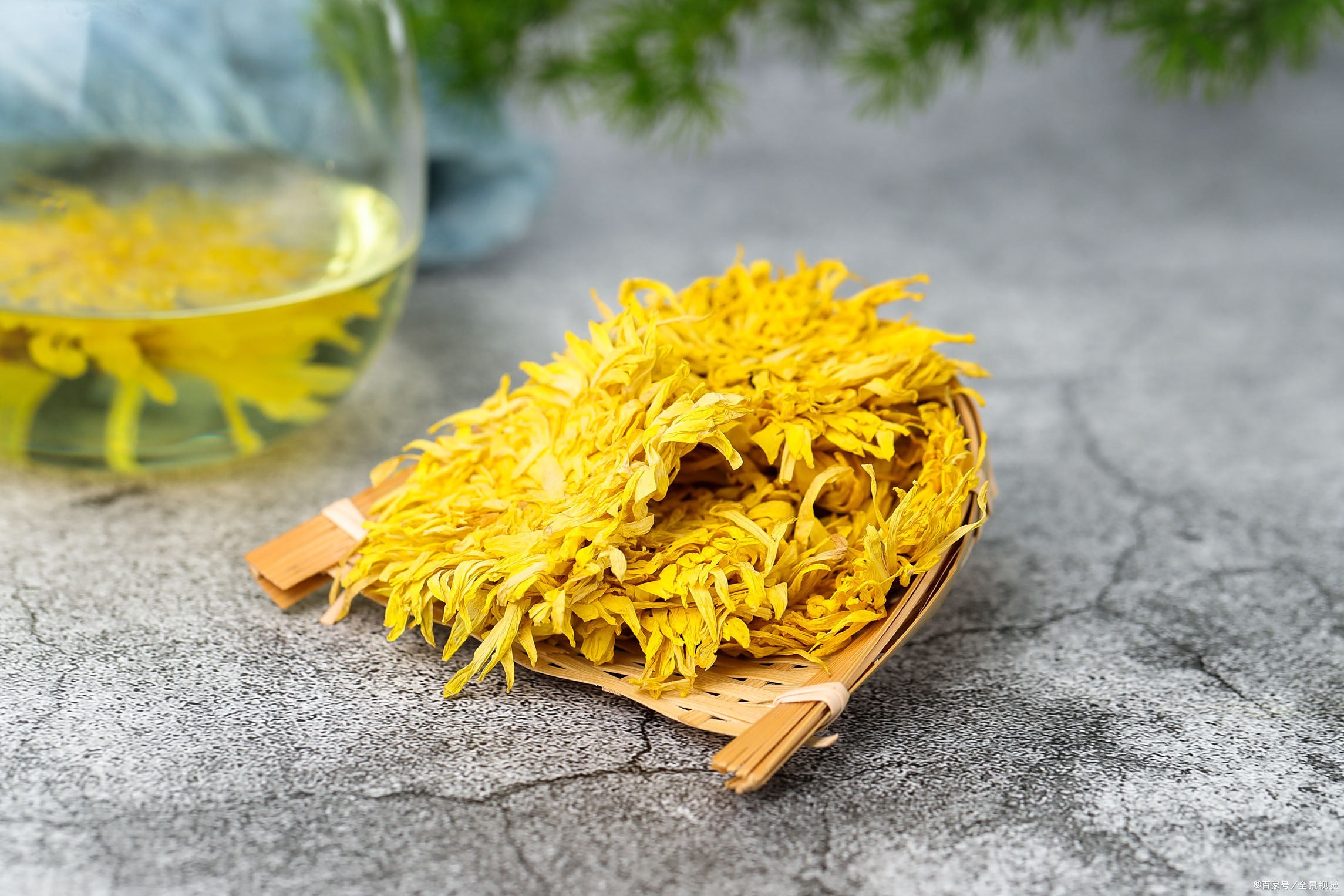 杯皇- 热门商品专区