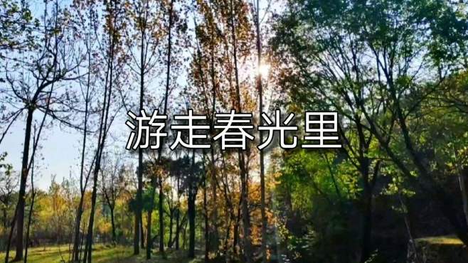 [图]游走春光里（内丘县岭底赛~田白芷~神头村穿越）