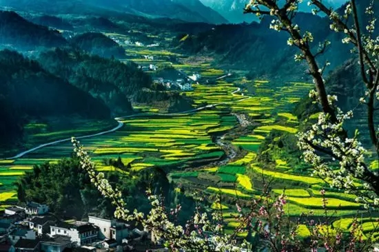 赵俊良:春色新咏