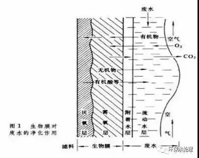 曝气生物滤池构造图片