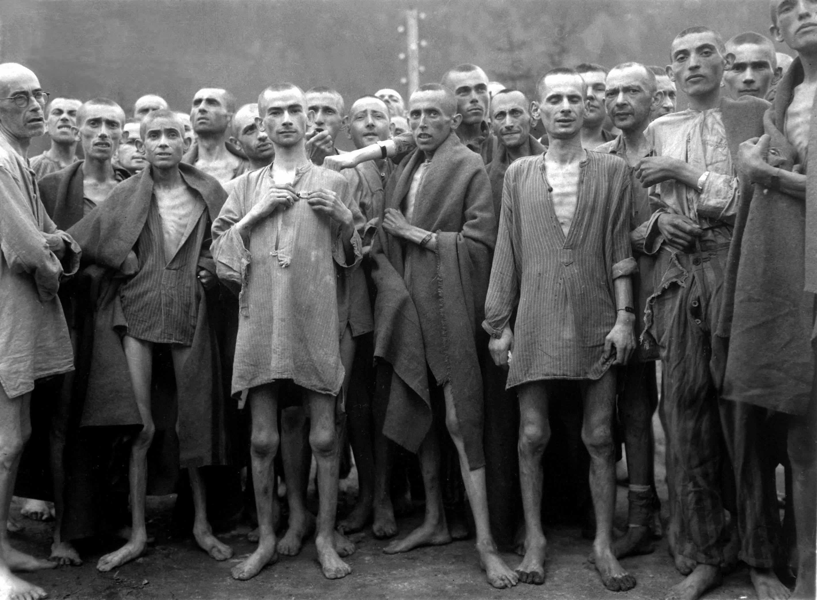 犹太人集中营纪录片图片