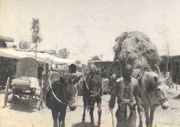 西北四马崛起的原因:乱世出枭雄,坏人多作恶