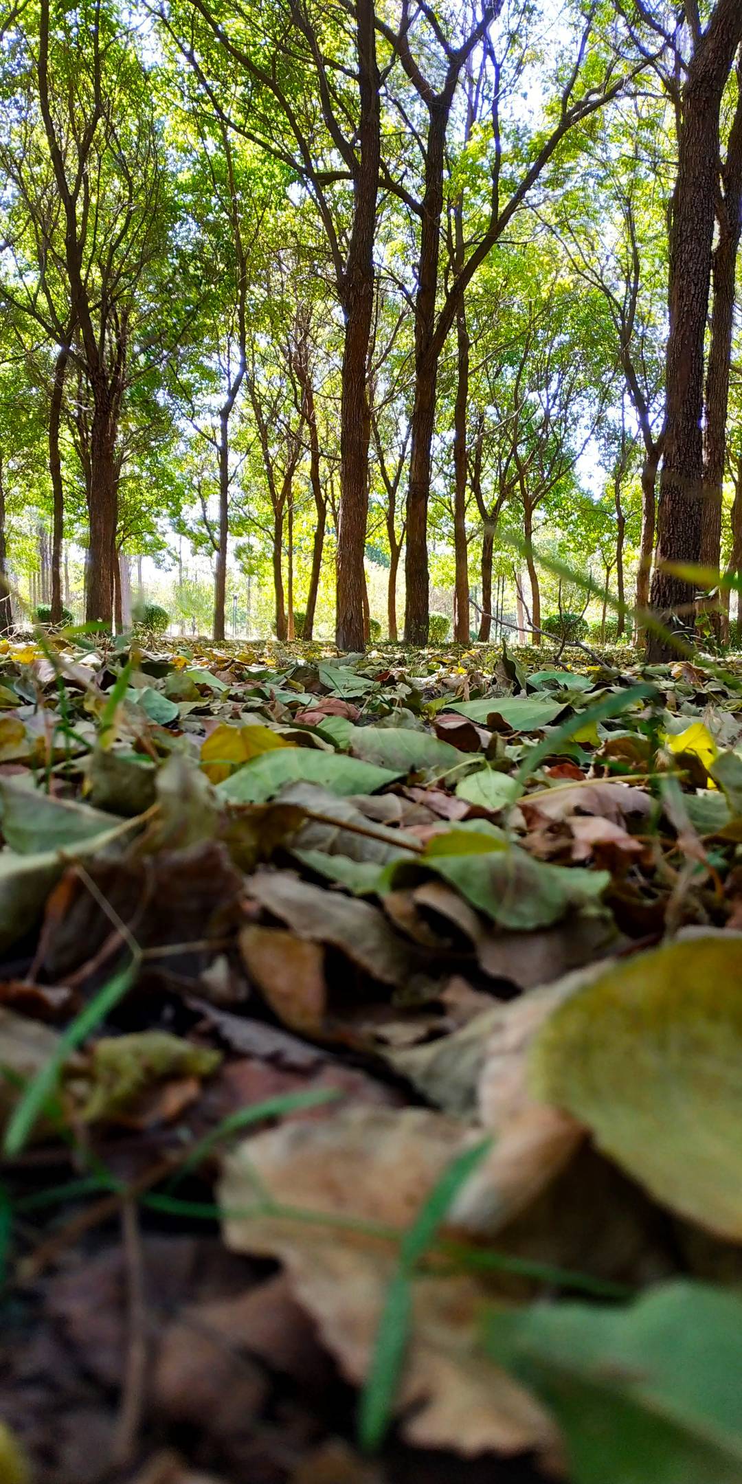 【一点拍客】夏秋之间