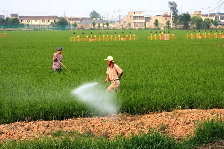 老话说庄稼不收年年种,这句话在种植成本高的今天还有道理吗?