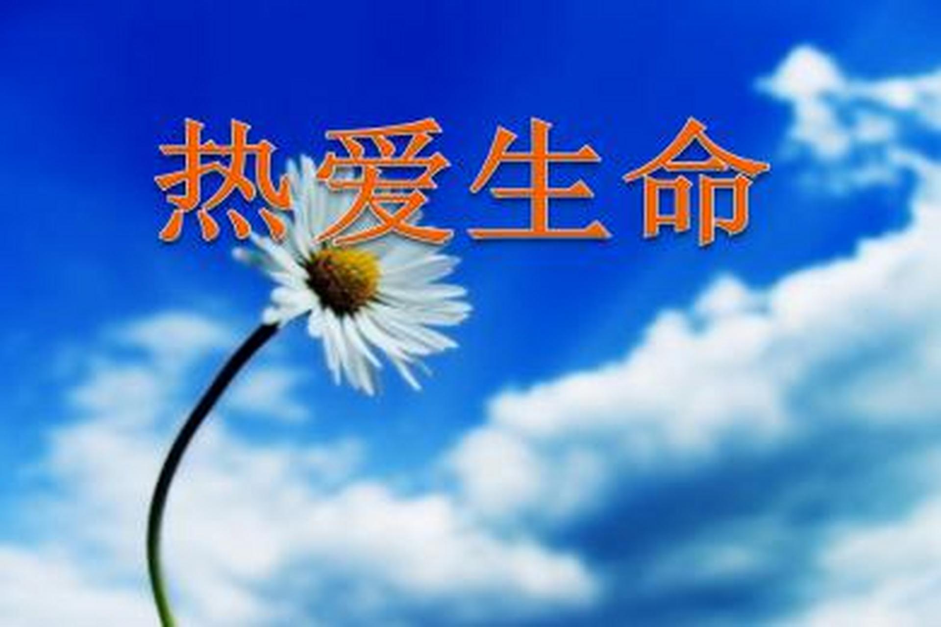 《热爱生命》是一辈子顺风顺水,但是无所作为地度过一生;还是始终在