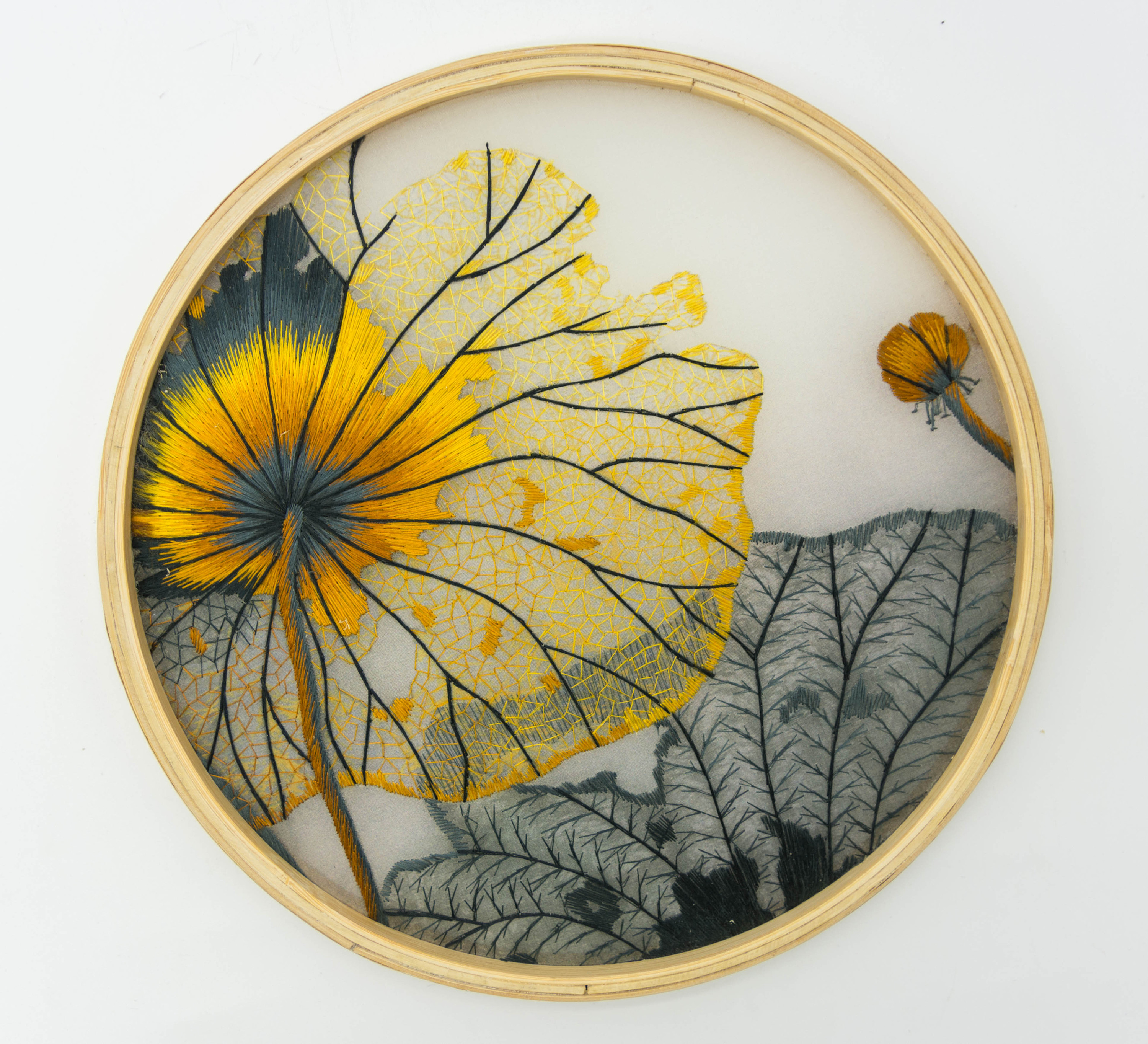 苏州,杭州,南京三大城市各有特色,哪个最受欢迎呢?