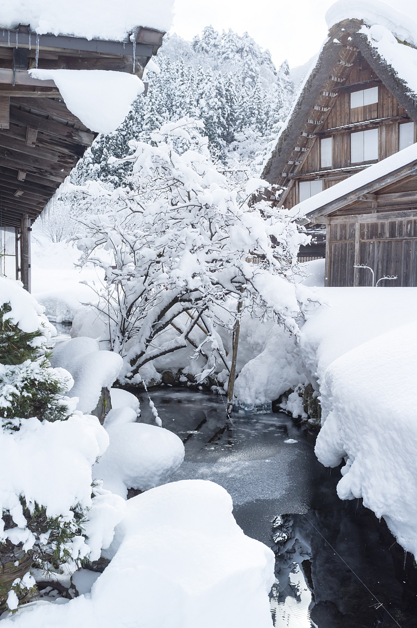 其实台湾有玉山主峰(海拔3952米)每年都下雪.这没啥奇怪的.