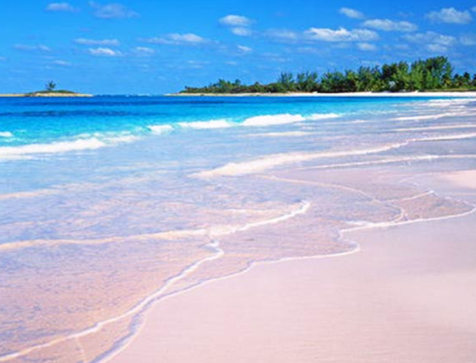 巴拿马最著名的景色粉色海滩,来巴哈马旅游必看景色.