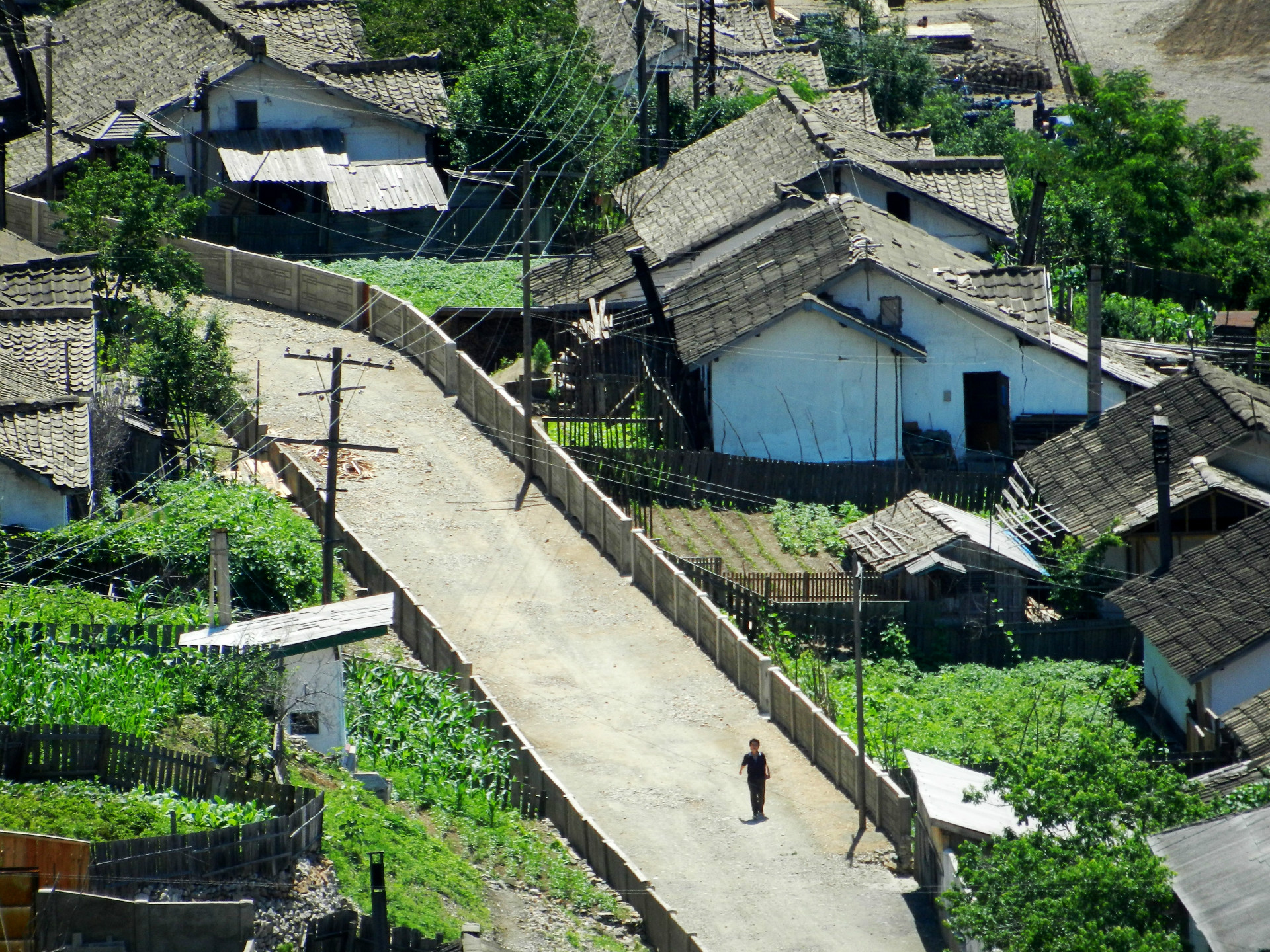 朝鲜古土里图片