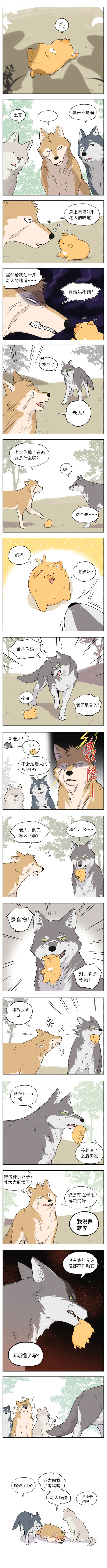 狼王捡到只小奶狗!(漫画)