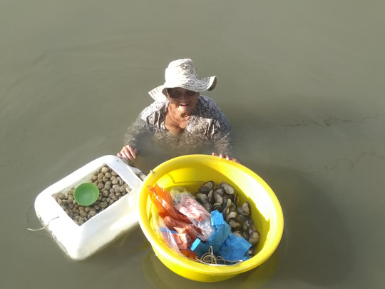 85岁老太每天泡海水里工作数小时,只为赚钱养活61岁患病养女