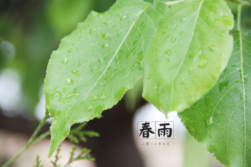 農村俗語:別人求我三春雨,我求他人六月霜,