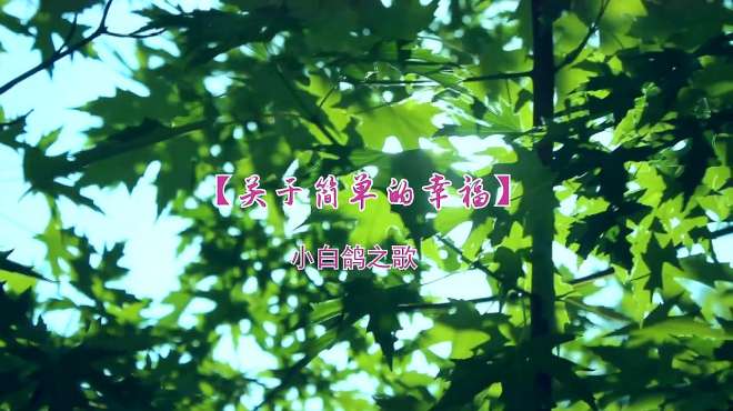 [图]《关于幸福的事》编剧拍摄只花了一天的原创歌曲MV