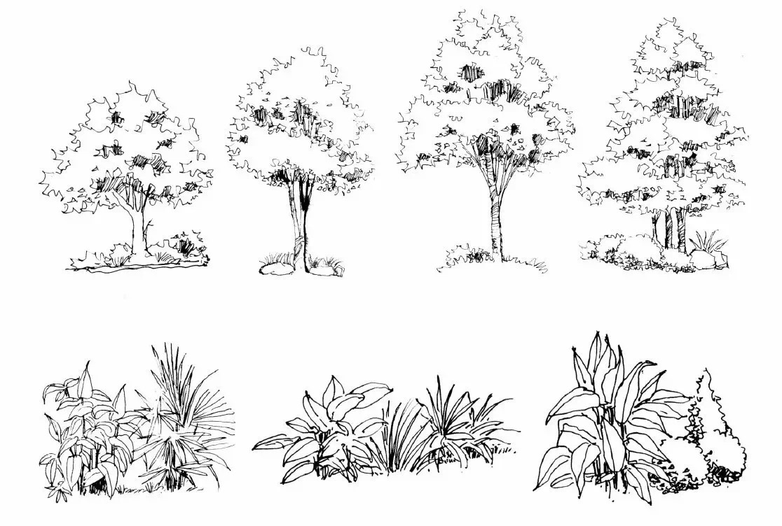 最全的植物速写风景手绘单体组合体配景线稿大合集